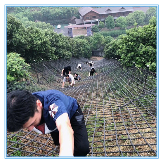 2025澳网门票官方网站